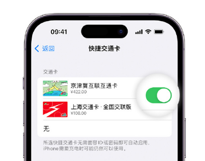 福田apple维修点分享iPhone上更换Apple Pay快捷交通卡手绘卡面 