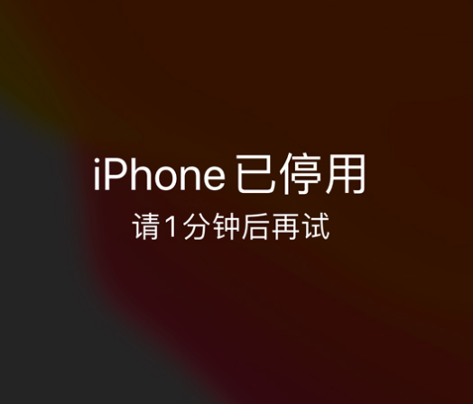 福田苹果手机维修分享:iPhone 显示“不可用”或“已停用”怎么办？还能保留数据吗？ 