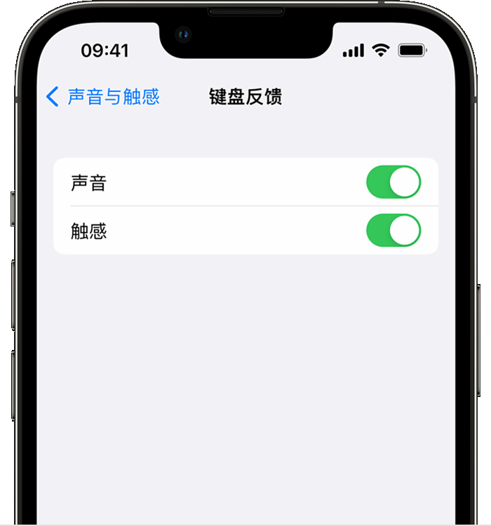 福田苹果14维修店分享如何在 iPhone 14 机型中使用触感键盘 