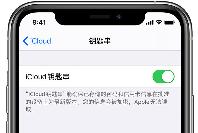 福田苹果手机维修分享在 iPhone 上开启 iCloud 钥匙串之后会储存哪些信息 