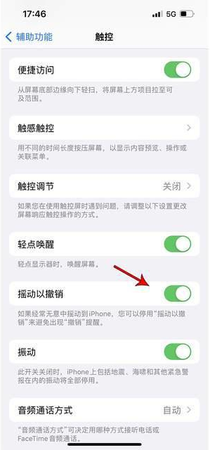 福田苹果手机维修分享iPhone手机如何设置摇一摇删除文字 