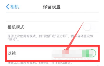 福田苹果13维修分享iPhone13拍照有绿点是怎么回事 