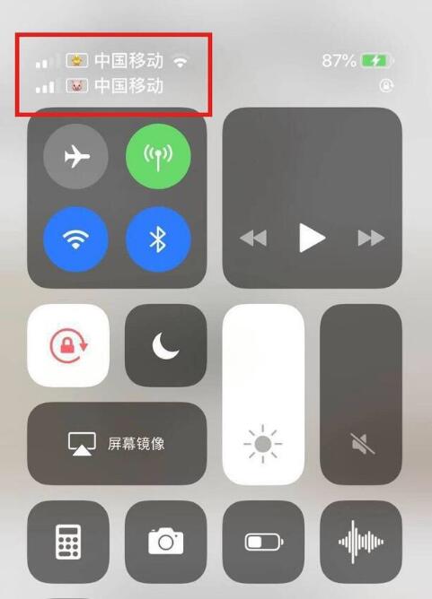 福田苹果手机维修分享为 iPhone 12 双卡设置标签 