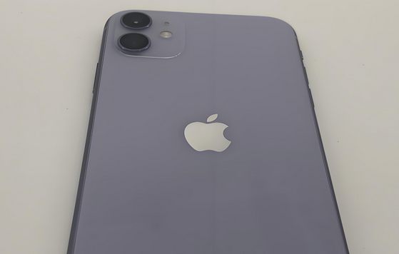 福田苹果11系统维修分享iPhone11手机系统崩溃无法开机如何解决 